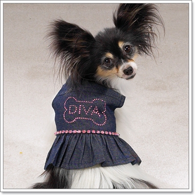 Dogilike.com :: JEANS never die