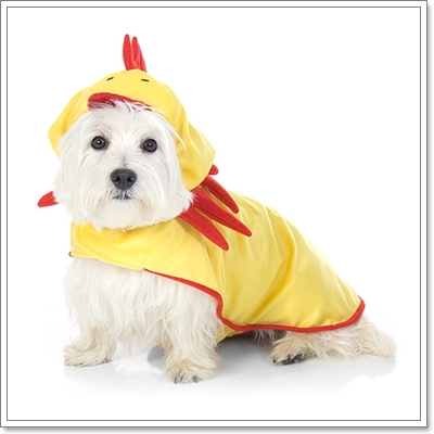 Dogilike.com :: แฟชั่นเอาใจคนรักสัตว์ Dogilike.com :: แฟชั่นเอาใจคนรักสัตว์