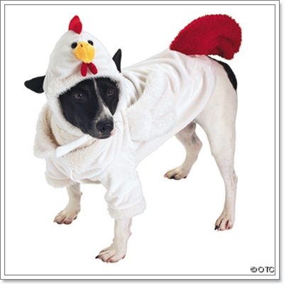 Dogilike.com :: แฟชั่นเอาใจคนรักสัตว์ Dogilike.com :: แฟชั่นเอาใจคนรักสัตว์