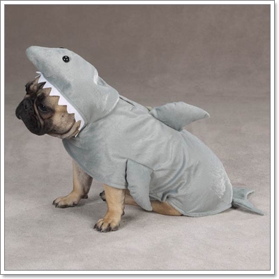 Dogilike.com :: แฟชั่นเอาใจคนรักสัตว์ Dogilike.com :: แฟชั่นเอาใจคนรักสัตว์