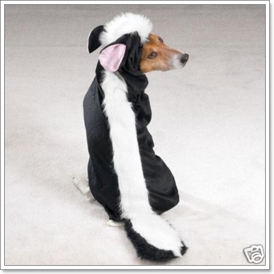 Dogilike.com :: แฟชั่นเอาใจคนรักสัตว์ Dogilike.com :: แฟชั่นเอาใจคนรักสัตว์