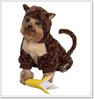 Dogilike.com :: แฟชั่นเอาใจคนรักสัตว์ Dogilike.com :: แฟชั่นเอาใจคนรักสัตว์