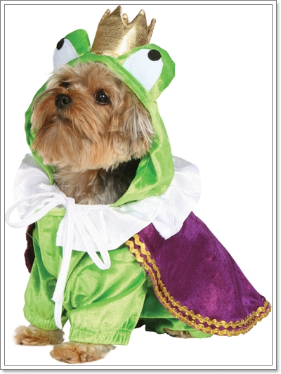 Dogilike.com :: Ҫ˭ԧͧѡͧ