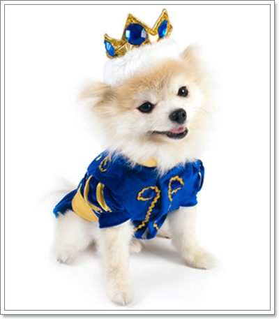 Dogilike.com :: Ҫ˭ԧͧѡͧ