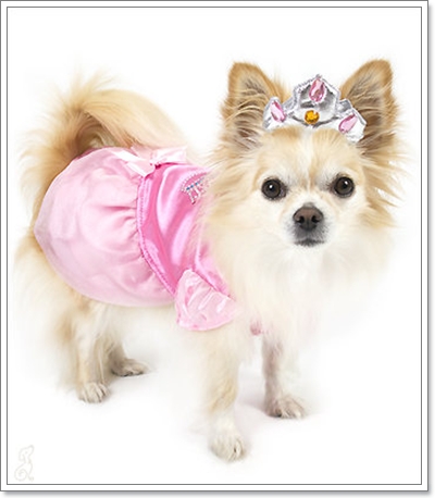 Dogilike.com :: Ҫ˭ԧͧѡͧ