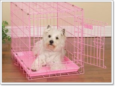 Dogilike.com :: �š�ժ��٢ͧ��ͧ���