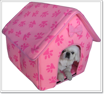 Dogilike.com :: �š�ժ��٢ͧ��ͧ���