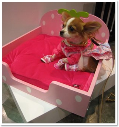 Dogilike.com :: �š�ժ��٢ͧ��ͧ���