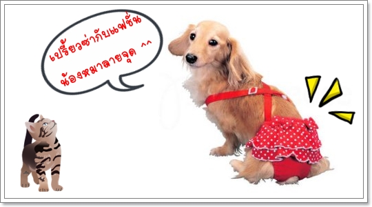 Dogilike.com :: ͧ¨ش