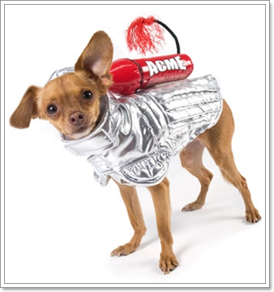Dogilike.com :: Ὺ����ش�š ��ͧ����ǡ��