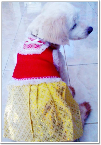 Dogilike.com :: Ὺ�����ʴջ������¢ͧ��ͧ���