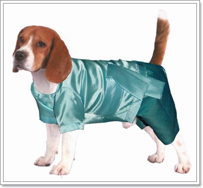 Dogilike.com :: Ὺ�����ʴջ������¢ͧ��ͧ���