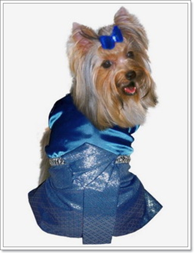 Dogilike.com :: Ὺ�����ʴջ������¢ͧ��ͧ���