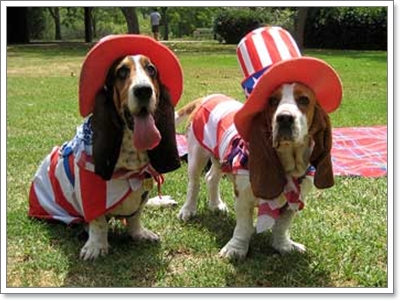 Dogilike.com :: ����!!! Ὺ�蹹�ͧ��ҹҹҪҵ�