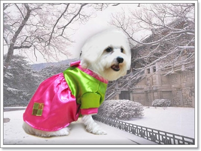 Dogilike.com :: ����!!! Ὺ�蹹�ͧ��ҹҹҪҵ�