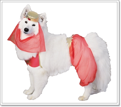 Dogilike.com :: ����!!! Ὺ�蹹�ͧ��ҹҹҪҵ�