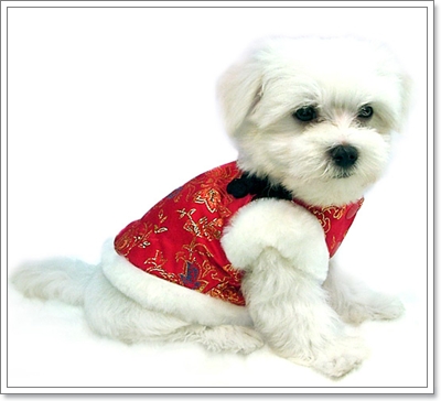 Dogilike.com :: ����!!! Ὺ�蹹�ͧ��ҹҹҪҵ�