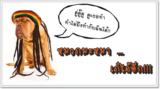 Dogilike.com :: แฟชั่นหมวกสุดเฟี้ยว Dogilike.com :: แฟชั่นหมวกสุดเฟี้ยว