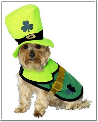 Dogilike.com :: Ὺ����ǡ�ش�����