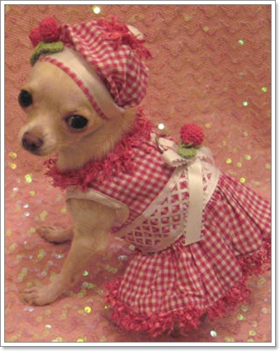 Dogilike.com :: แฟชั่นหมวกสุดเฟี้ยว Dogilike.com :: แฟชั่นหมวกสุดเฟี้ยว