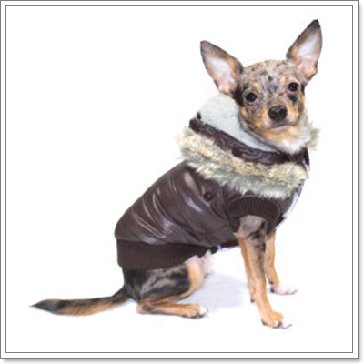 Dogilike.com :: แฟชั่นหน้าหนาว ประชดอากาศกันไปเลย! Dogilike.com :: แฟชั่นหน้าหนาว ประชดอากาศกันไปเลย!