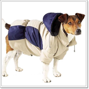 Dogilike.com :: แฟชั่นหน้าหนาว ประชดอากาศกันไปเลย! Dogilike.com :: แฟชั่นหน้าหนาว ประชดอากาศกันไปเลย!