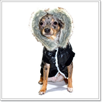 Dogilike.com :: แฟชั่นหน้าหนาว ประชดอากาศกันไปเลย! Dogilike.com :: แฟชั่นหน้าหนาว ประชดอากาศกันไปเลย!