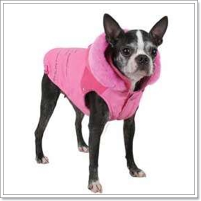 Dogilike.com :: แฟชั่นหน้าหนาว ประชดอากาศกันไปเลย! Dogilike.com :: แฟชั่นหน้าหนาว ประชดอากาศกันไปเลย!