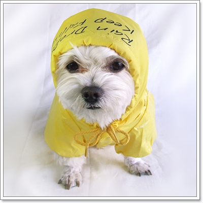 Dogilike.com :: ��ͧ��ҡ��ժش�ѹ������͹�ѹ��