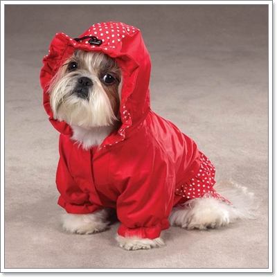 Dogilike.com :: ��ͧ��ҡ��ժش�ѹ������͹�ѹ��