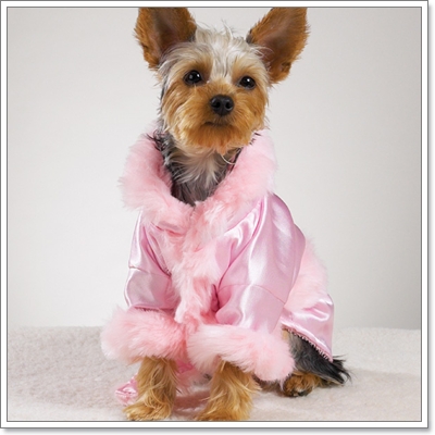 Dogilike.com :: �ش�Һ����ʹ��ͧ��ͧ���