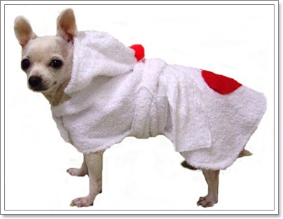 Dogilike.com :: �ش�Һ����ʹ��ͧ��ͧ���