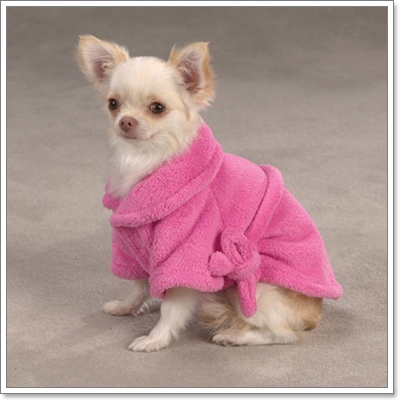 Dogilike.com :: �ش�Һ����ʹ��ͧ��ͧ���