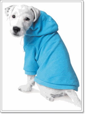 Dogilike.com :: �Ѻ��ͧ���������