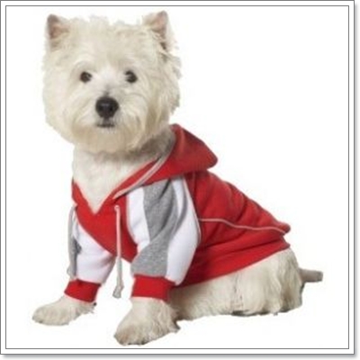 Dogilike.com :: �Ѻ��ͧ���������