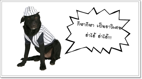 Dogilike.com :: Ὺ�蹡��� ��ͧ��ҡ������