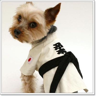 Dogilike.com :: Ὺ�蹡��� ��ͧ��ҡ������