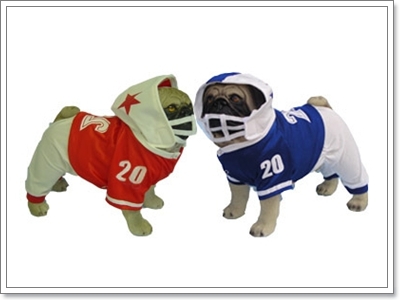 Dogilike.com :: Ὺ�蹡��� ��ͧ��ҡ������