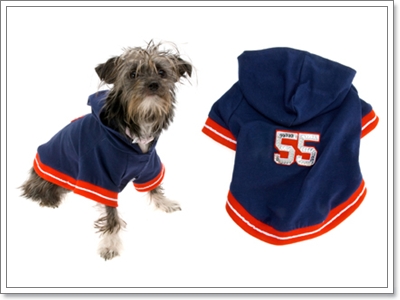 Dogilike.com :: Ὺ�蹡��� ��ͧ��ҡ������