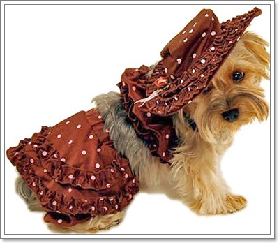 Dogilike.com :: ��ͧ��ҺԡԹ���硫���ش�