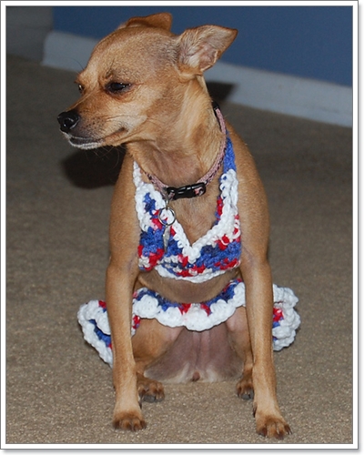 Dogilike.com :: ��ͧ��ҺԡԹ���硫���ش�