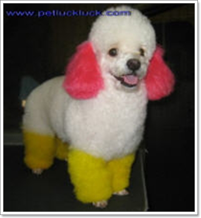 Dogilike.com :: Ң!!!