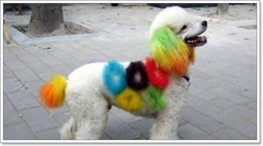 Dogilike.com :: Ң!!!