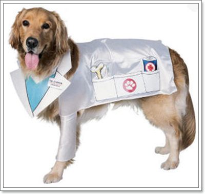Dogilike.com :: ⵢ˹ҡ?? 