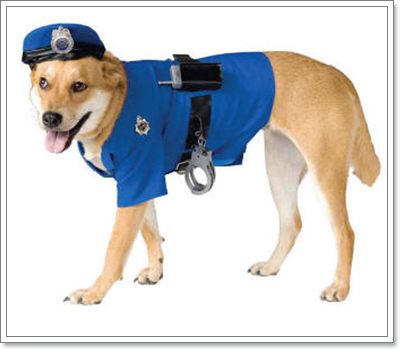 Dogilike.com :: ⵢ˹ҡ?? 