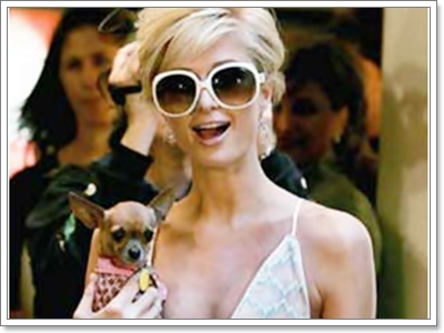 Dogilike.com :: TinkerBell ͧ Ԩ (???)