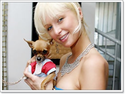 Dogilike.com :: TinkerBell ͧ Ԩ (???)