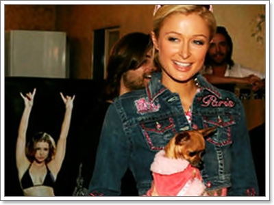 Dogilike.com :: TinkerBell ͧ Ԩ (???)