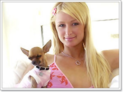 Dogilike.com :: TinkerBell ͧ Ԩ (???)