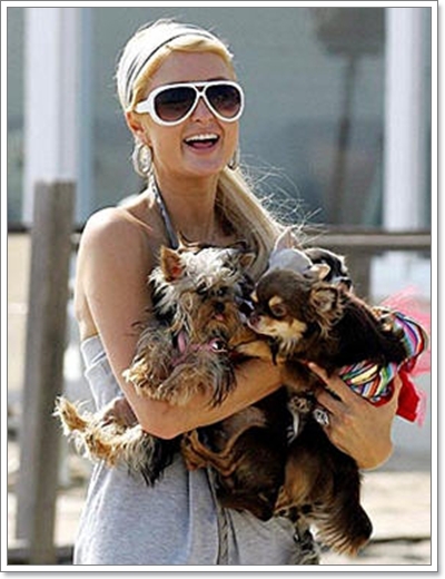 Dogilike.com :: TinkerBell ͧ Ԩ (???)